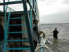 DSCN0480.jpg (47081 bytes)