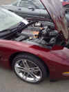 Kelowna-20130518-00037.jpg (83902 bytes)
