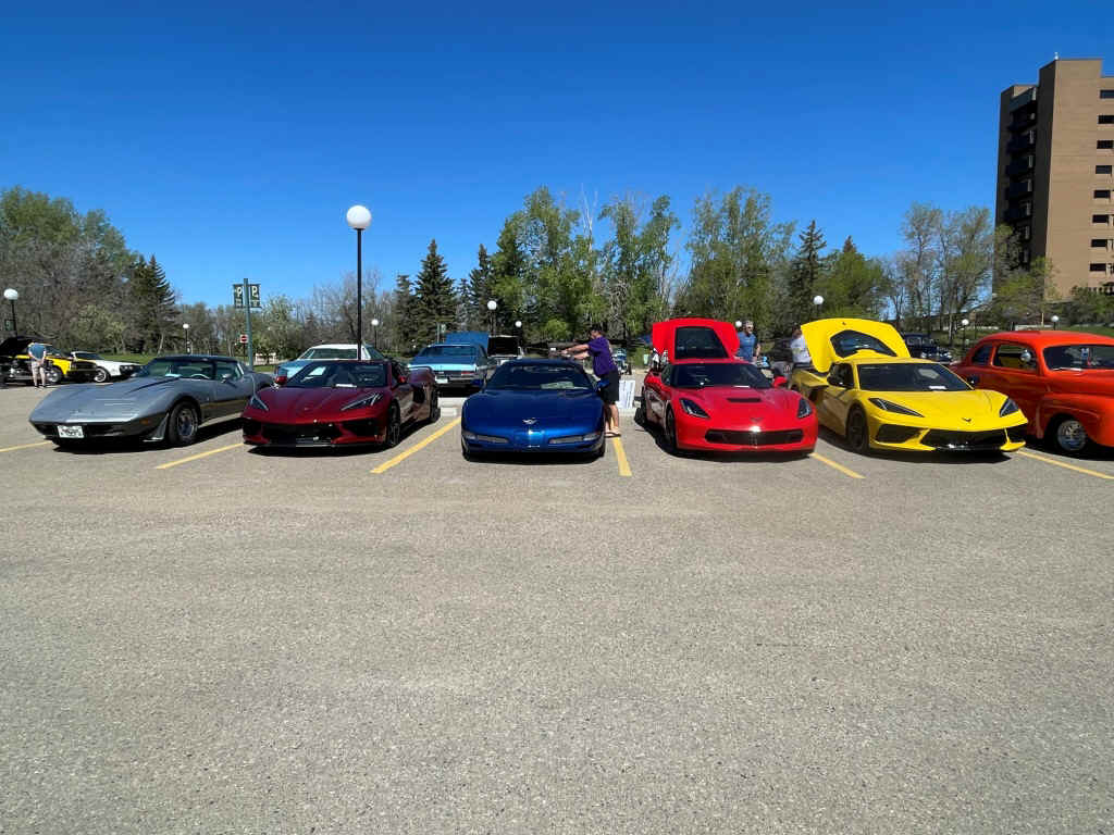 img_2300.jpg (329997 bytes)