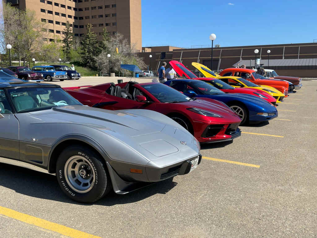 img_2302.jpg (337119 bytes)